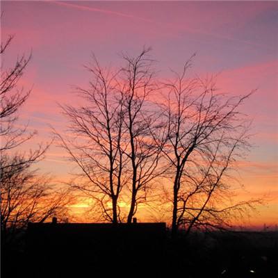 九万彩票安卓软件手机app下载